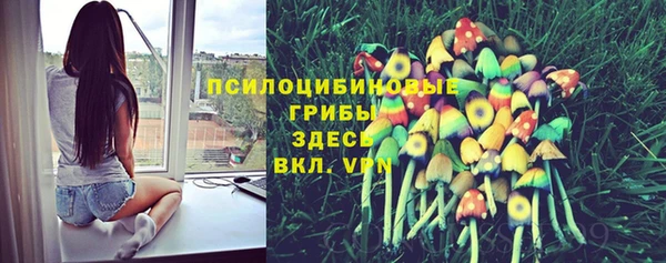 каннабис Краснотурьинск